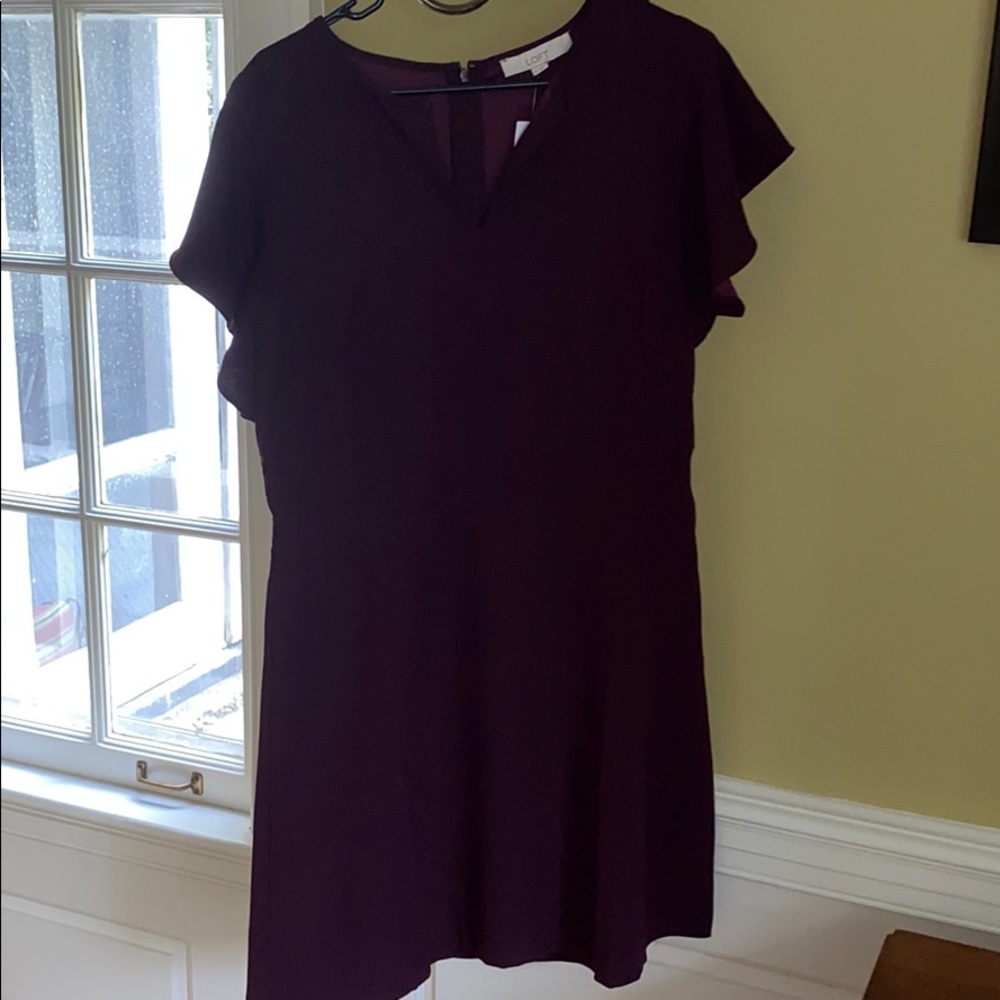Loft dress nwt